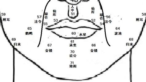 鼻 面相|麦玲玲面相讲座之 鼻子 – 人相学